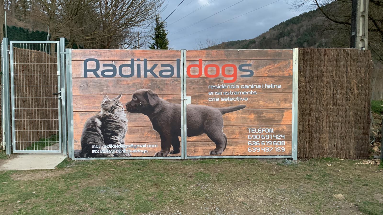 Entrance to the Radikaldogs Canine and Feline Residence