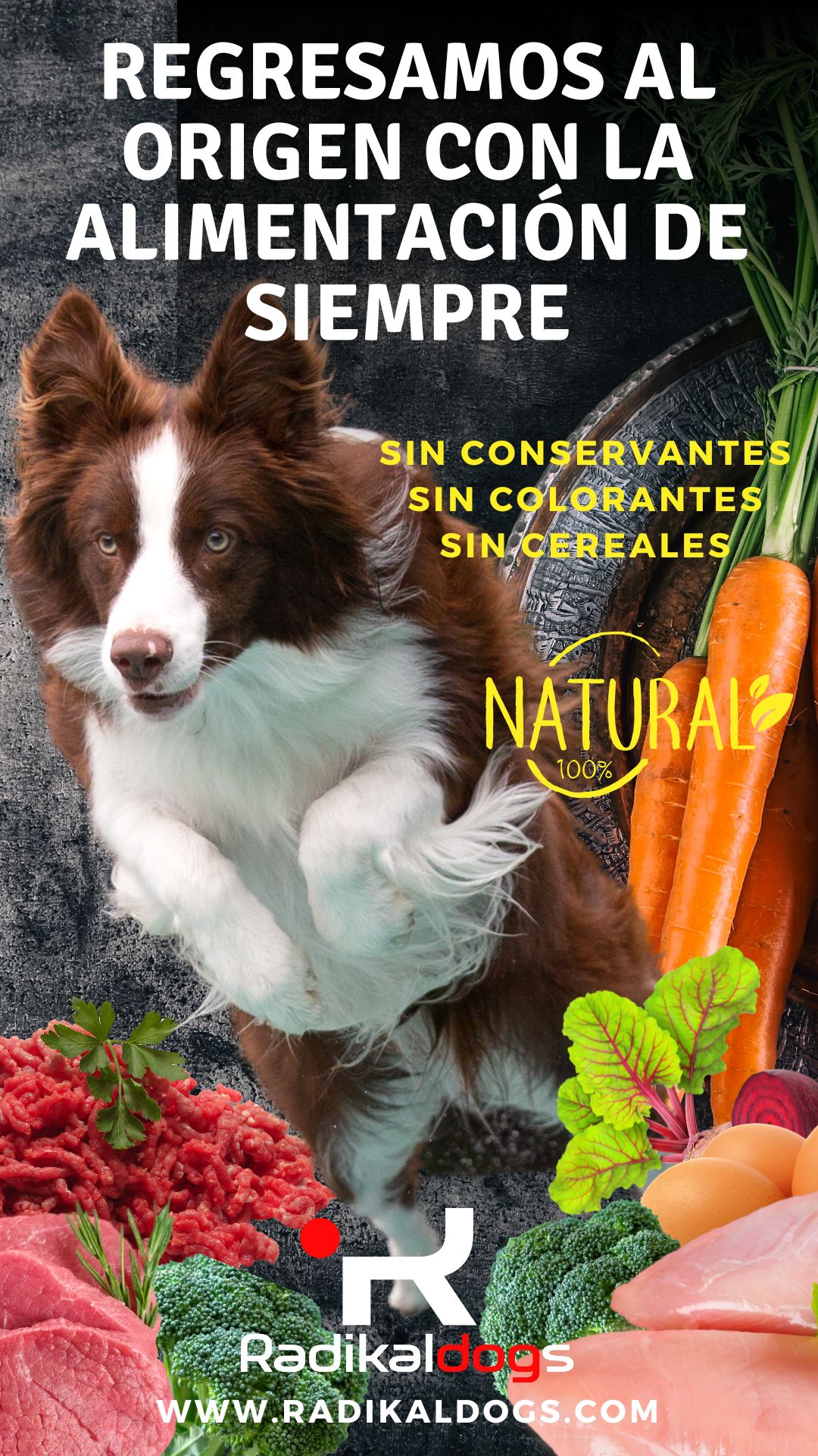 Alimentación BARF Premium Radikaldogs