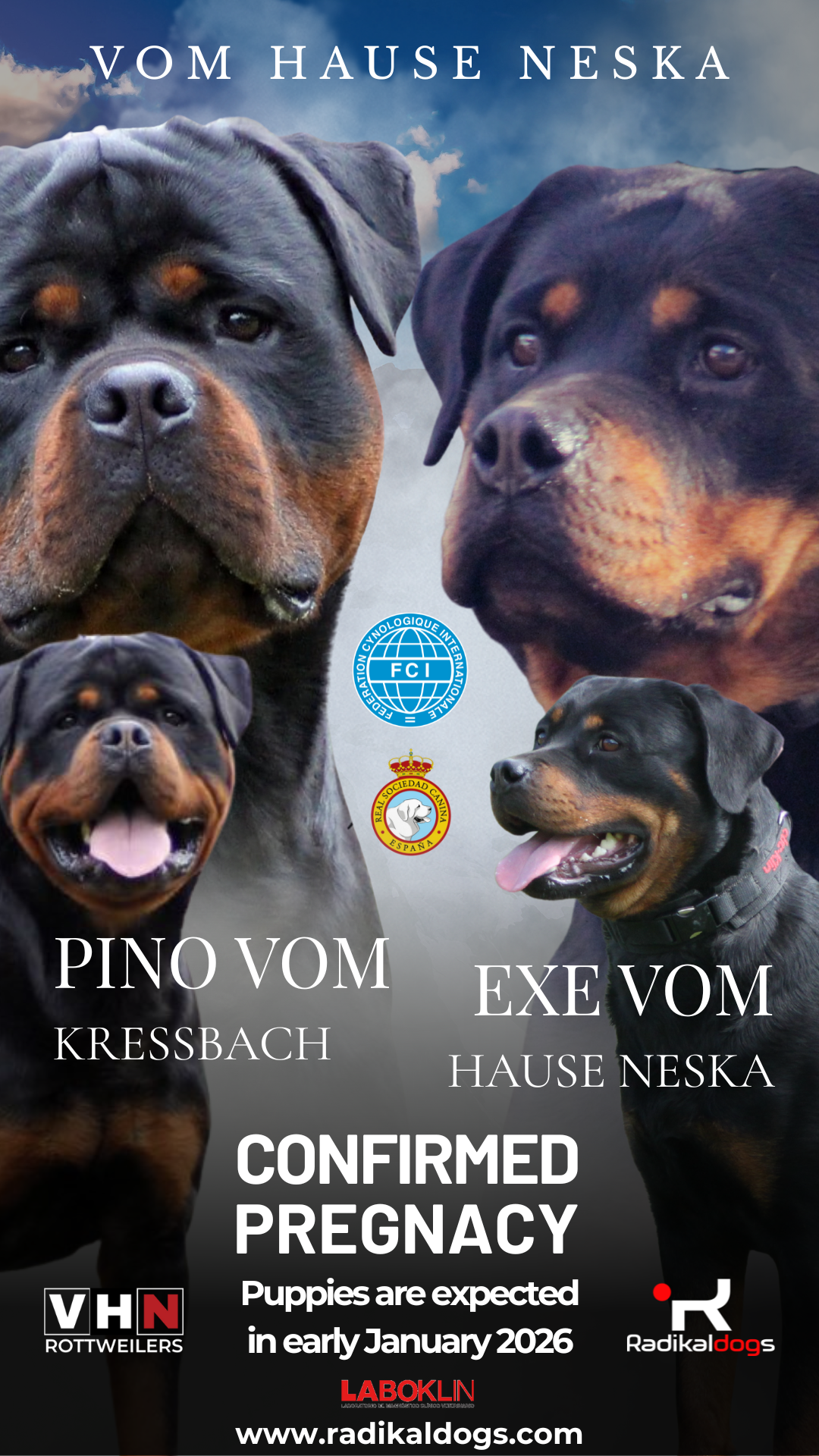 Camada J vom Hause Neska, cruce entre Pino vom Kressbach y Exe vom Hause Neska, monta realizada en Alemania el 3 de noviembre de 2025, preñez confirmada, cachorros esperados para enero de 2026.